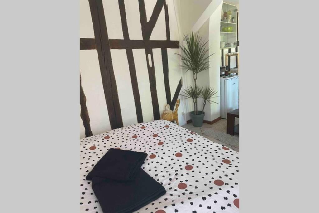 Appartement Joli petit studio en plein coeur centre ville à Méru Extérieur photo